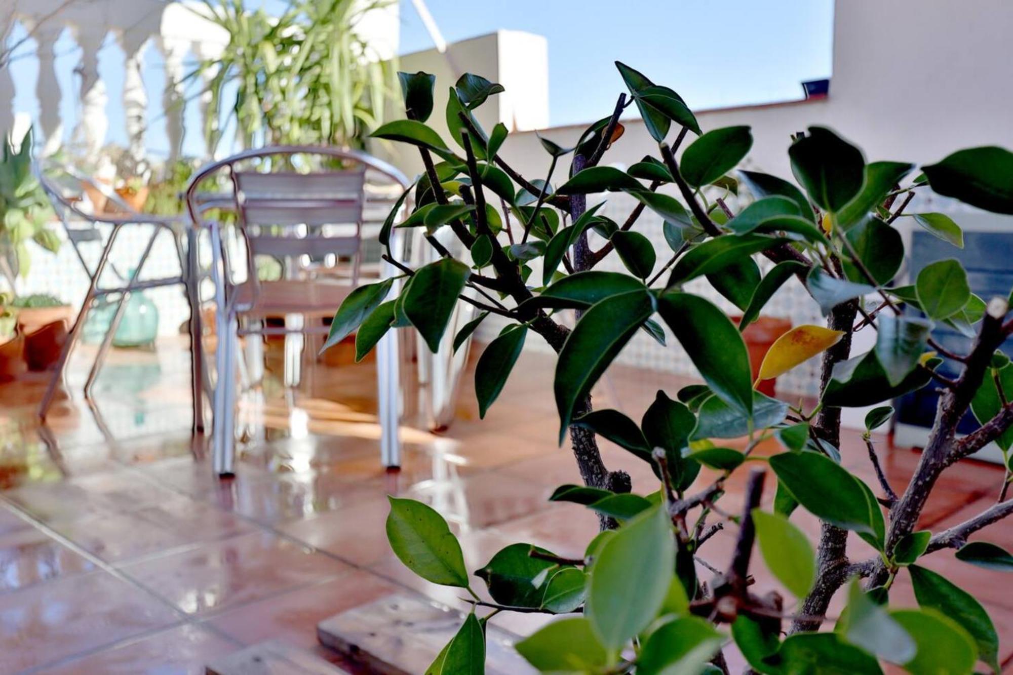 Atico Con Terraza En Pleno Centro Apartamento Córdova Exterior foto